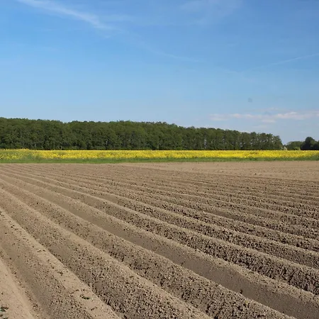 Haus Im Wiesengrund Apartament *