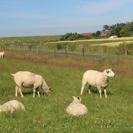 Haus Im Wiesengrund * Esens