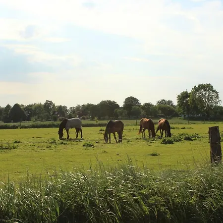 Haus Im Wiesengrund Apartament