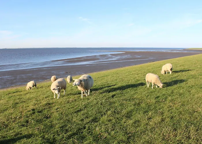 Haus Im Wiesengrund 公寓 埃森斯