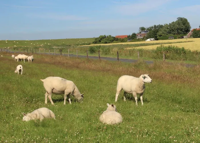 Haus Im Wiesengrund * 埃森斯