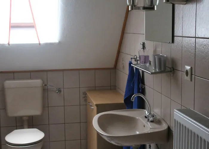 公寓 Haus Im Wiesengrund