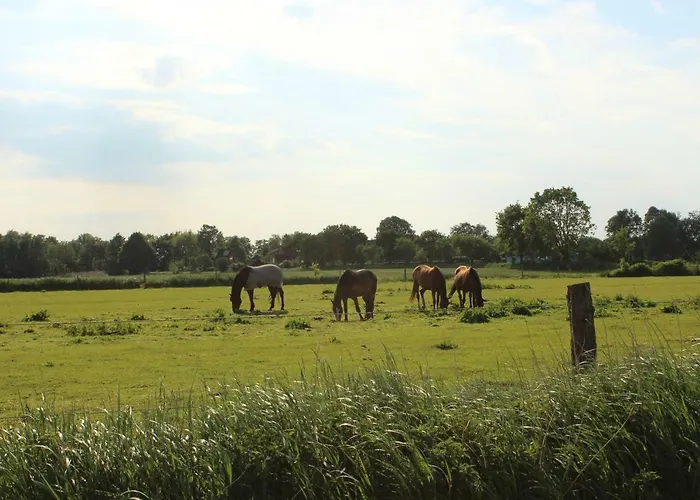 Haus Im Wiesengrund 公寓