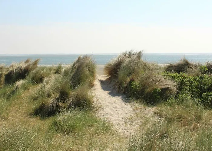 Haus Im Wiesengrund 埃森斯